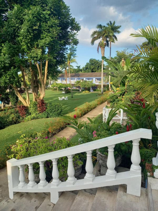 Jamaican garden