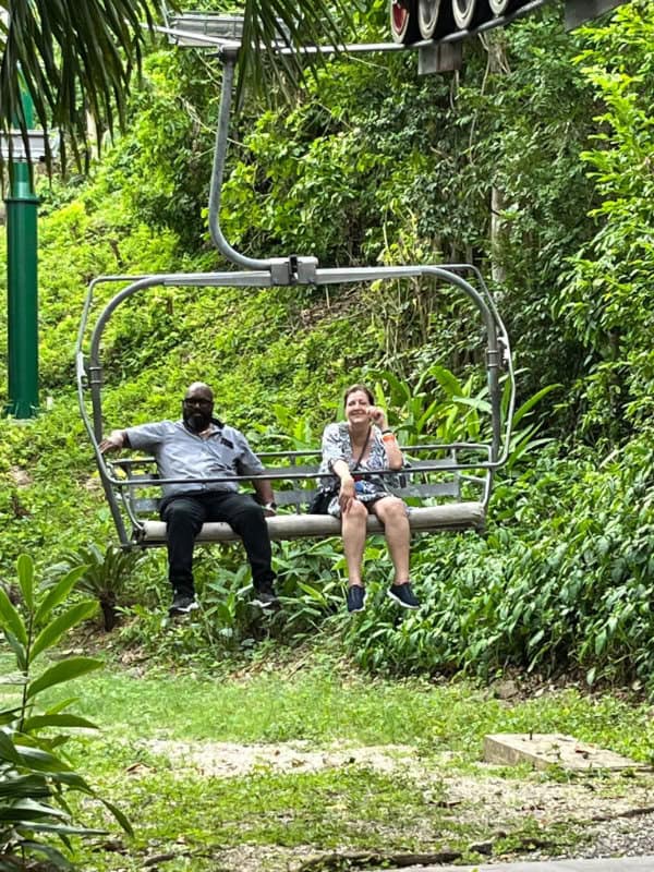 Jamaica jungle