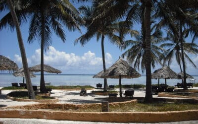 A Perfect honeymoon in Africa